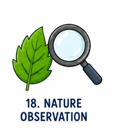 Nature observation