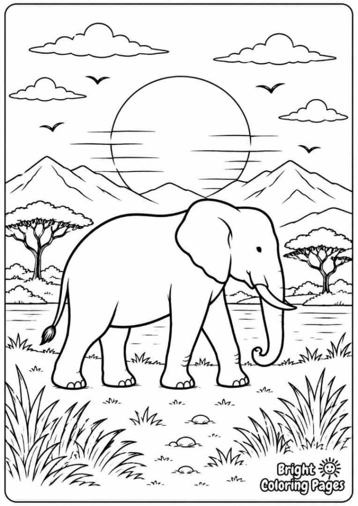 Elephant at Sunset