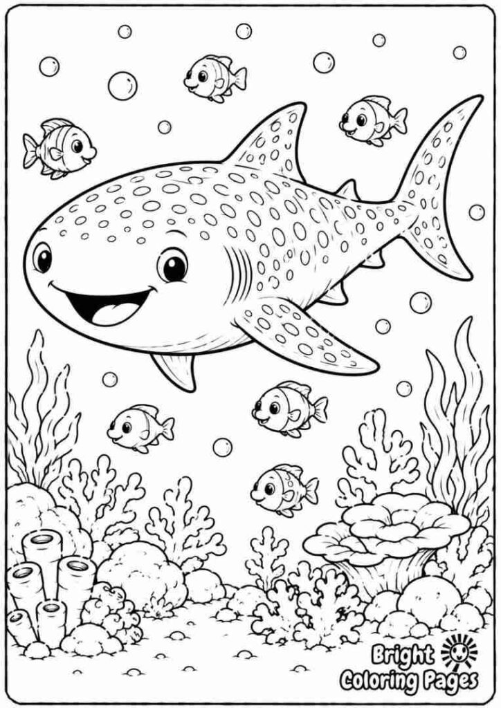 Whale Shark Friends
