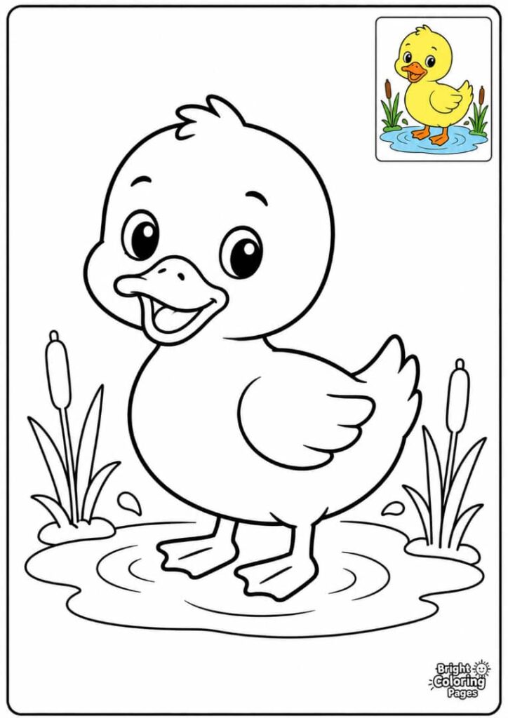 Cute Little Duck printable coloring page for preschool kids 