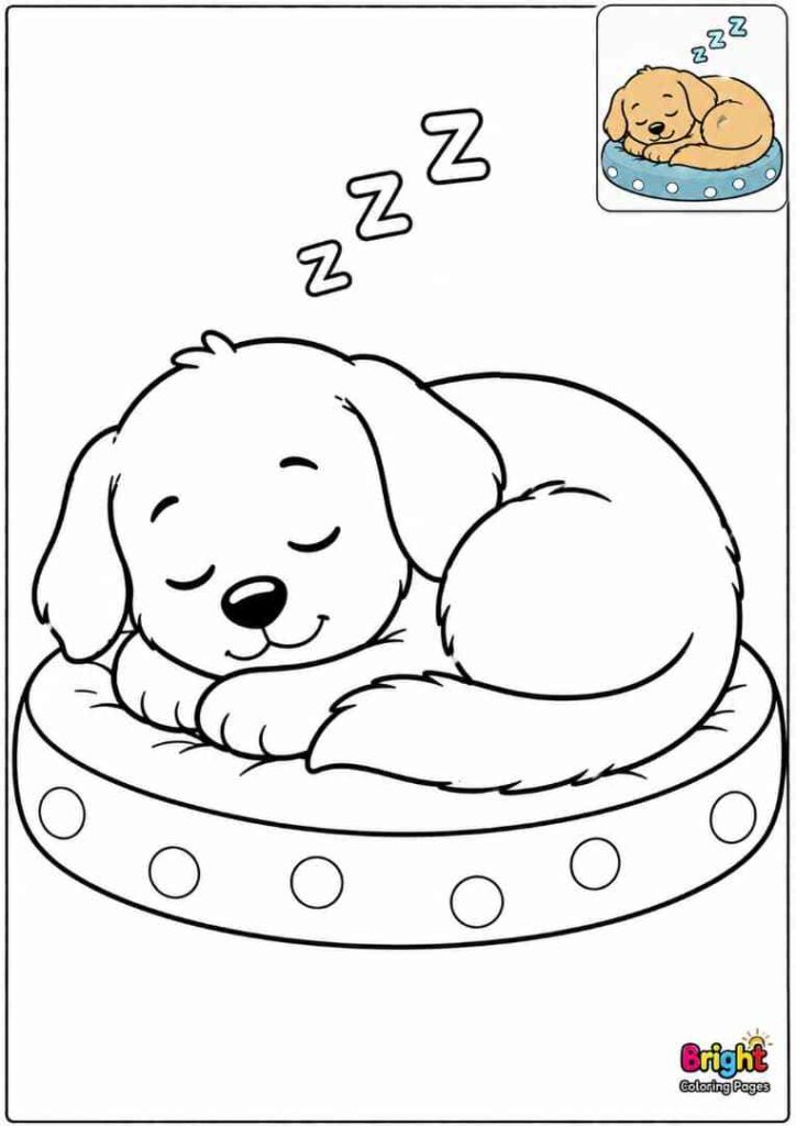 Puppy Curling Up to sleep free coloring page for preschool kids