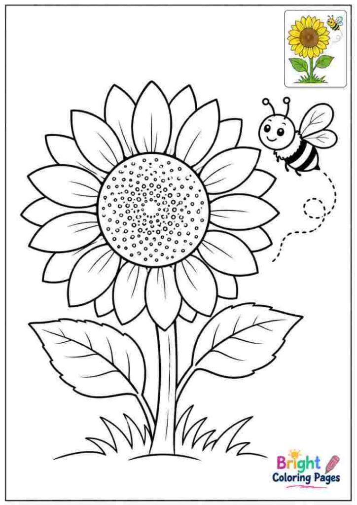 Sunflower and Bee Coloring Page for preschool kids 