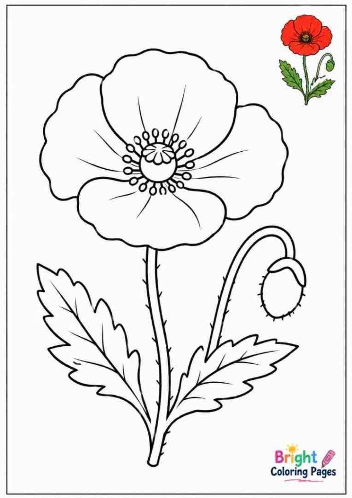 Simple Poppy Coloring Page for kids