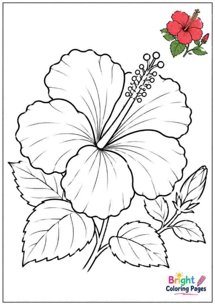 Hibiscus Coloring Page for kids