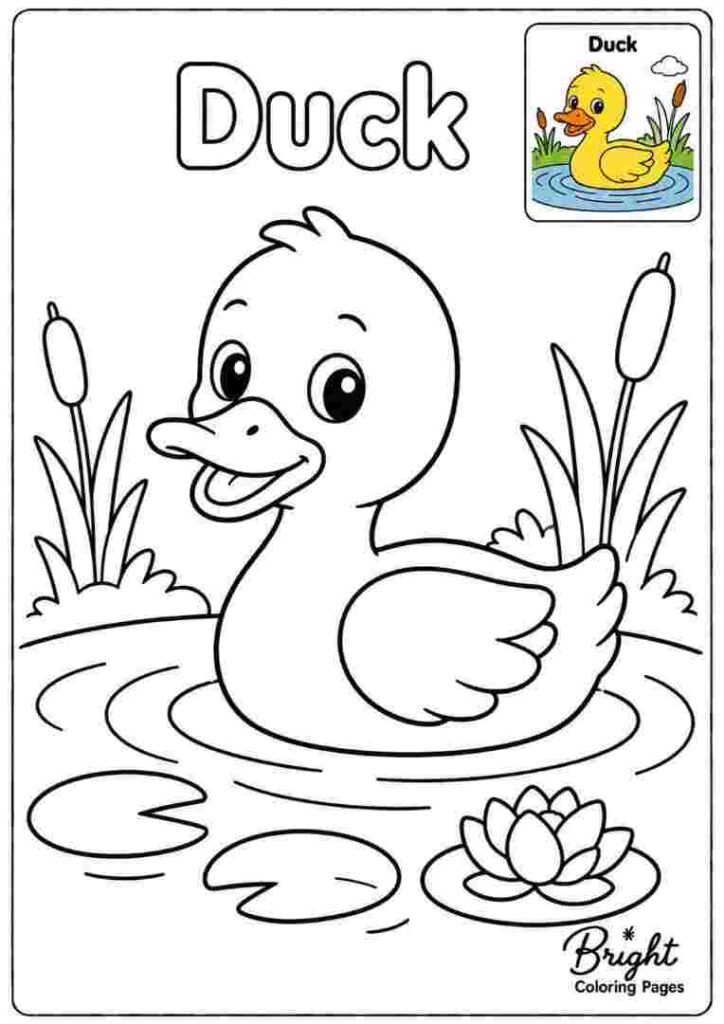 Coloring page for kindergarten showing a duck.