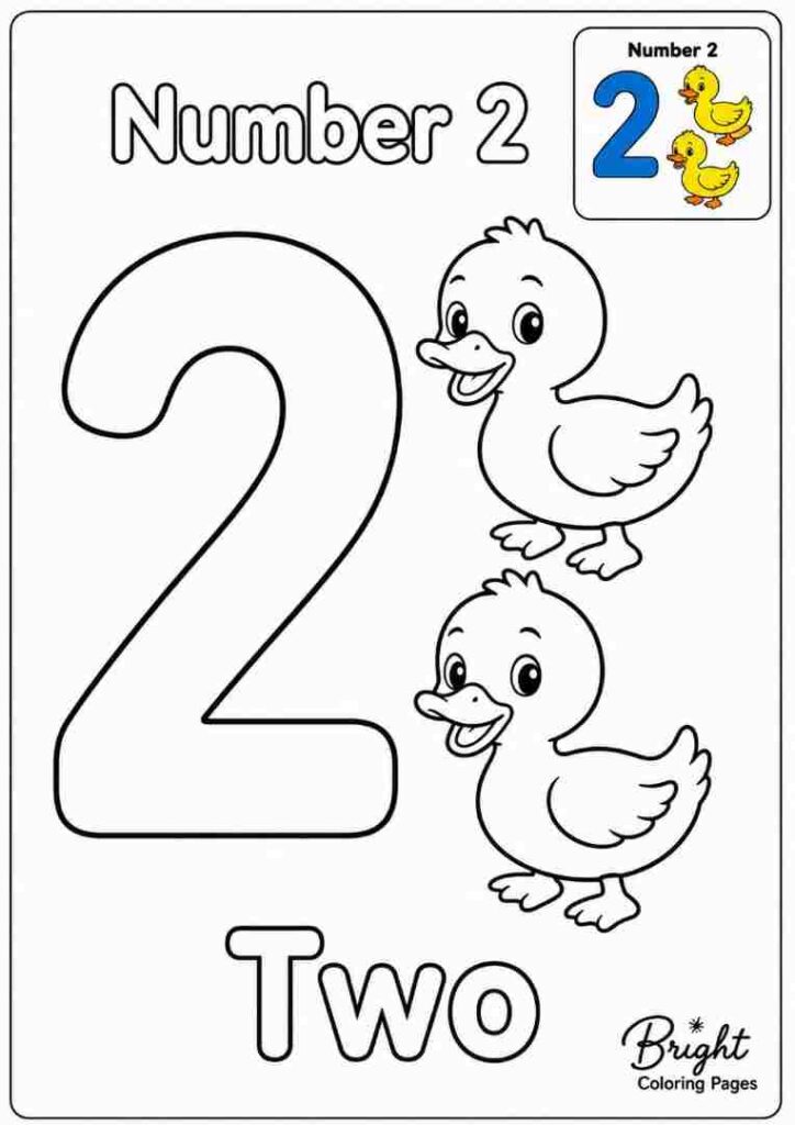 Coloring page for kindergarten showing the number 2 and two ducks.