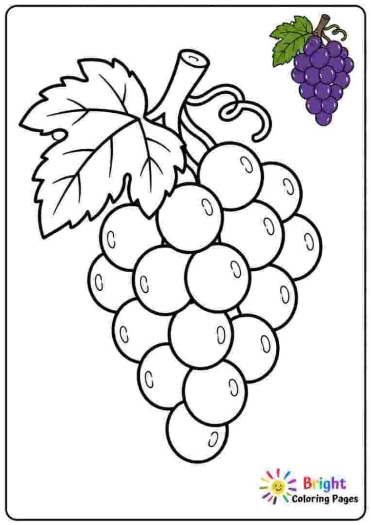 Grapes Coloring Page for kids 