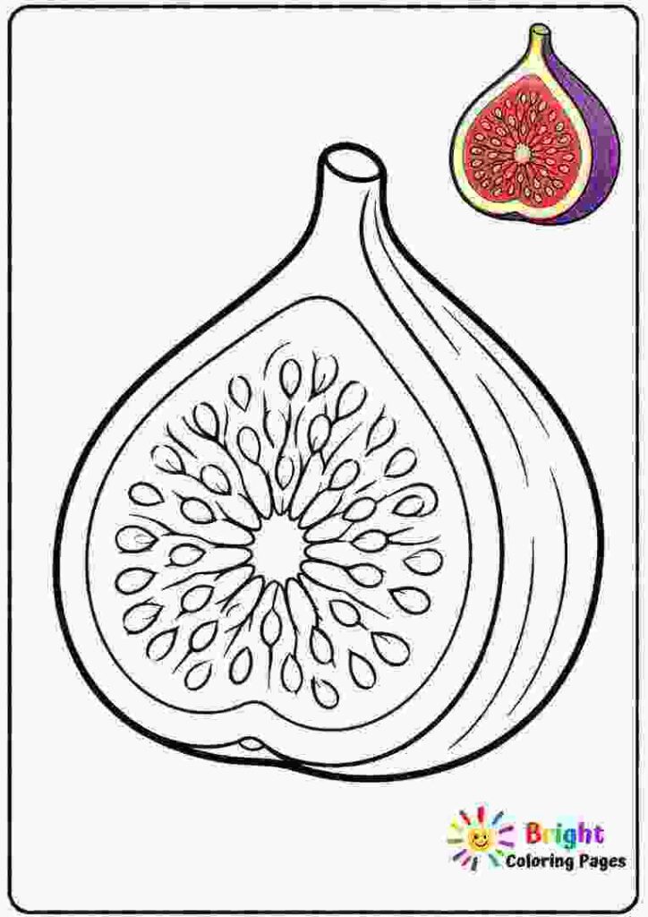 Fig Coloring Page