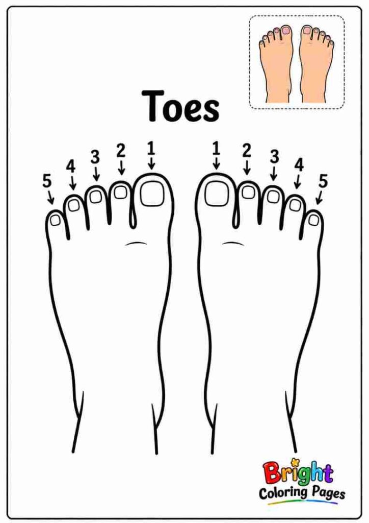 Feet Coloring Page