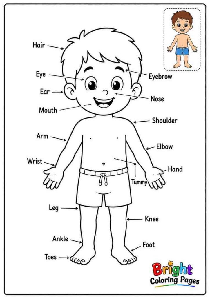 Full Body Coloring Page