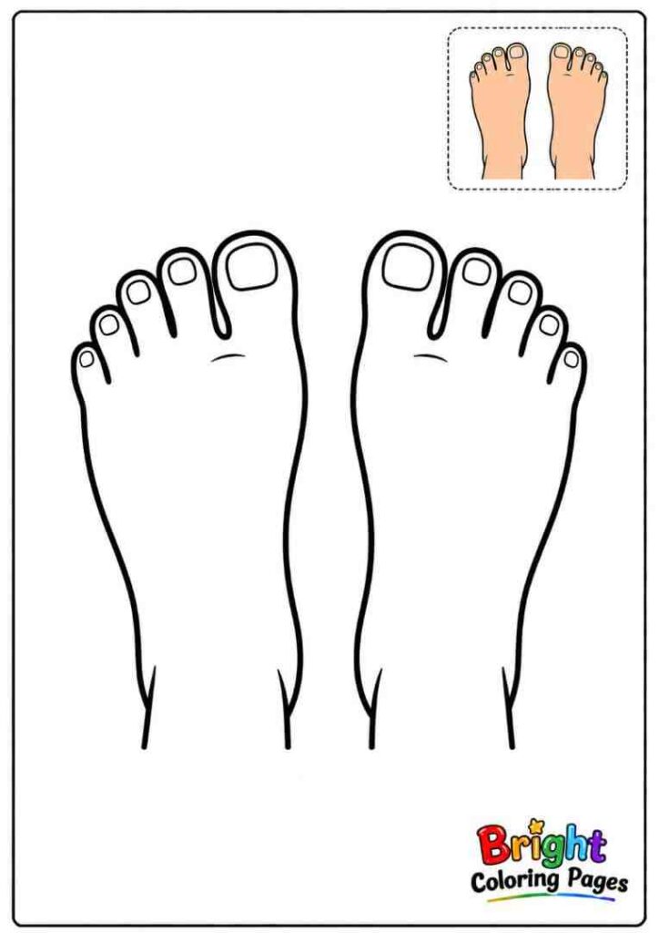 Legs Coloring Page for kids