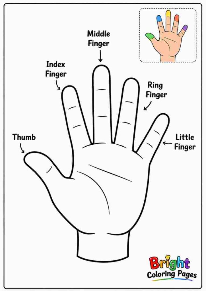Fingers Coloring Page