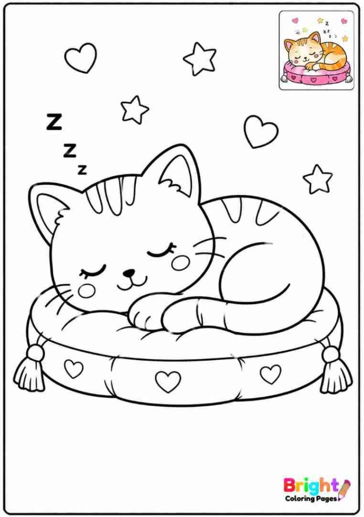 Sleeping Cat on a Cushion