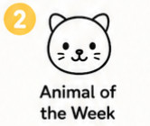 Animal of the Week