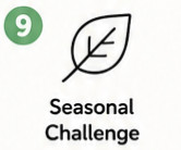 Seasonal Coloring Challenge