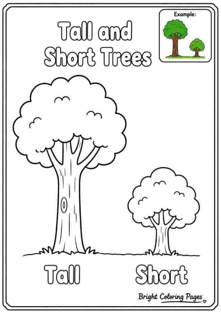 Tall and Short Trees Coloring Page