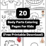 Body Parts Coloring Pages For Kids (Free Printable Download)