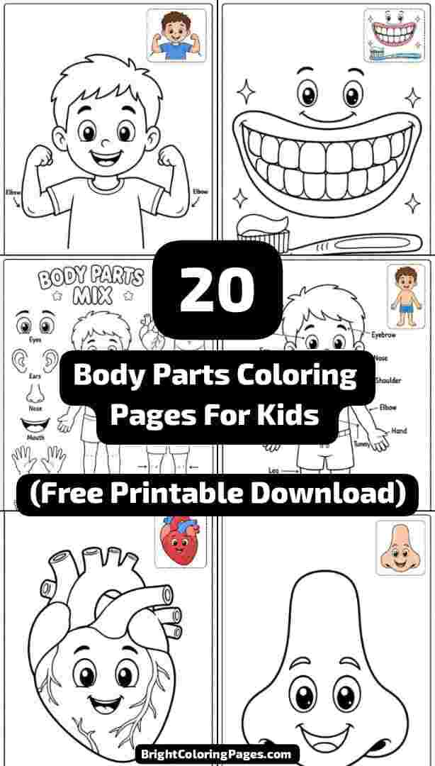 Body Parts Coloring Pages For Kids (Free Printable Download)